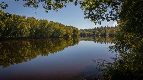 Androscoggin River Wallpaper 4K, Trees, Reflection, Pleasant