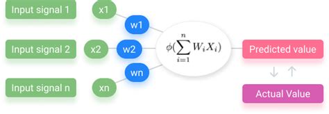 ANN and CNN: Analyzing Differences and Similarities - viso.ai (2023)