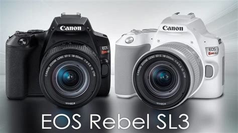 Best Lenses for Canon EOS Rebel SL3 - Best Camera News