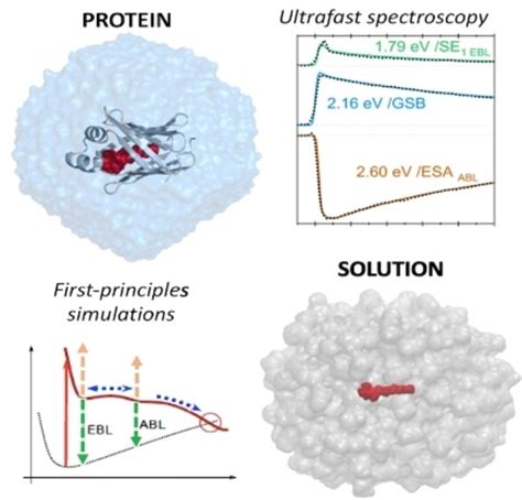 Control of Protonated Schiff Base Excited State Decay within Visual Protein Mimics: A Unified ...