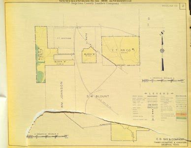 Angelina County Timber Type Maps | The History Center