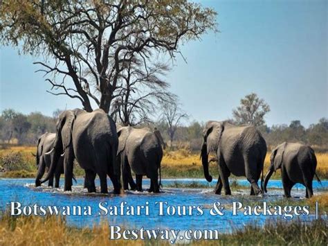 Botswana Safari Tours & Packages | Bestway.com