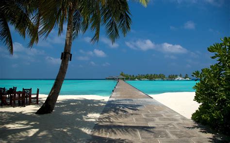 Dock Maldives, white sand beach resort #beach #nature #dock #maldives ...