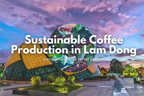 Sustainable Coffee Production in Lam Dong: A Revolution in the Coffee Gardens - Helena Coffee ...