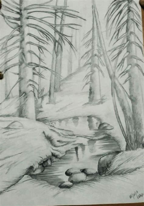 Forest Illustration Pencil