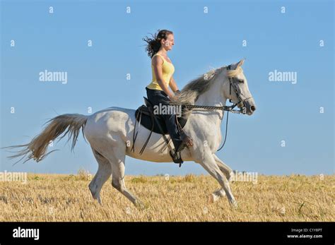 woman riding Paso Fino horse Stock Photo - Alamy