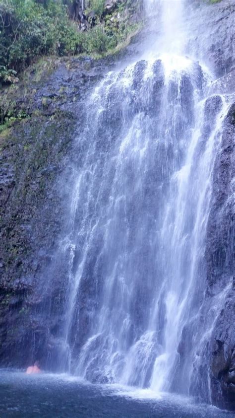 Wailua Falls Maui (swimming + views from the bridge!) Road to Hana waterfalls for swimming 🌴 ...