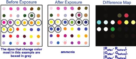 The components of colorimetric sensor arrays are inherently nanoscale ...