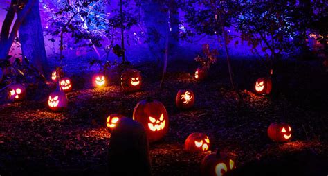 The Best Halloween Events and Activities in Los Angeles, California ...