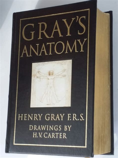 Sold --Grays Anatomy by Henry Gray - 1995