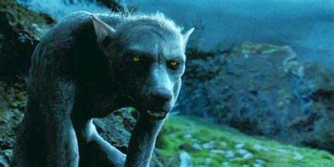 Professor Lupin Werewolf