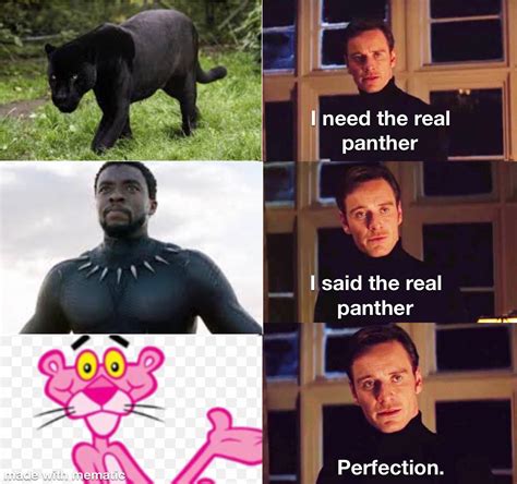 The most underrated panther of them all : r/memes