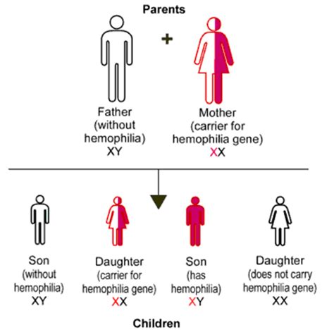 Hemophilia - S.M.HADI GDPC