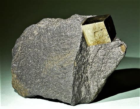 Phyllite with Pyrite | Rocks and fossils, Pyrite, Fossils