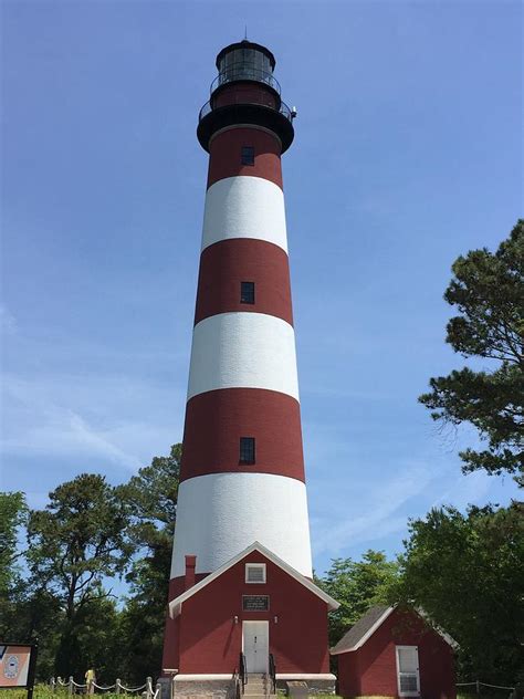 Chincoteague Lighthouse Photograph by McNulty - Fine Art America