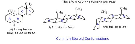 Steroids - Chemistry LibreTexts