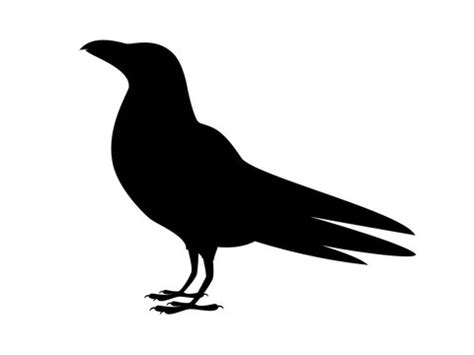 Raven Bird Clipart