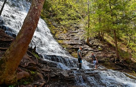 13 easy hiking trails in the Finger Lakes: See waterfalls, creeks, more | NewYorkUpstate.com