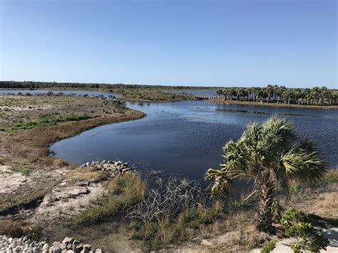 Robinson Preserve in Bradenton: A Hidden Gem Celebrating Florida Wetlands