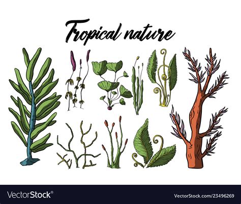 Prehistoric Tropical Plants