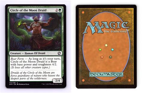 Circle Of Moon Druid #177/281 MTG D&D Adventures In The Forgotten ...