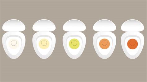 What Do the Color and Smell of Your Urine Tell You? | Everyday Health