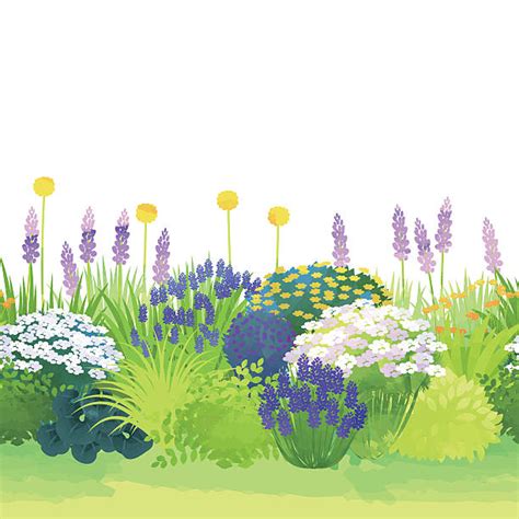 Flower Border Clip Art, Vector Images & Illustrations - iStock