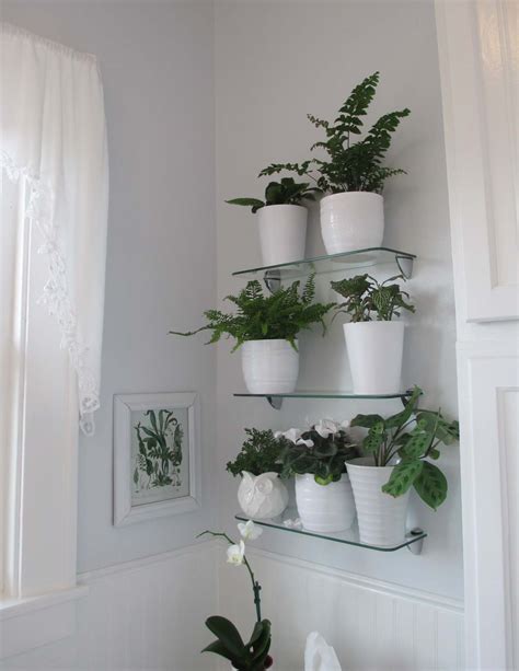 Garden Fancy: My new white, plant-filled bathroom