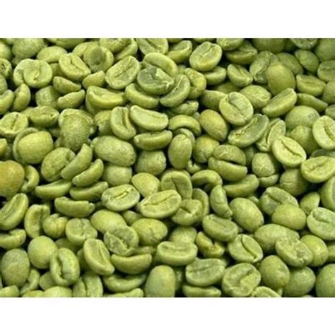 Robusta Green Coffee Beans at Rs 550/kilogram | Robusta Raw Coffee Beans in Vapi | ID: 13208615397