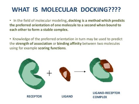 Basics Of Molecular Docking