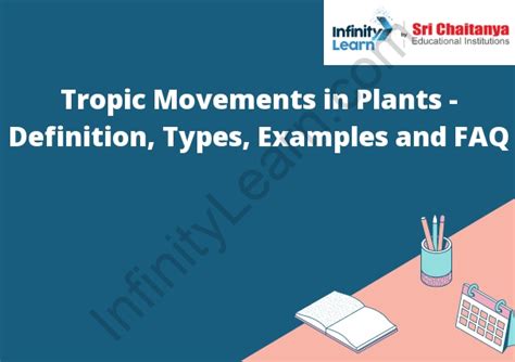 Tropic Movements in Plants - Definition, Types, Examples and FAQ