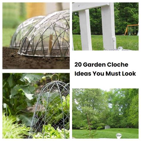 20 Garden Cloche Ideas You Must Look | SharonSable