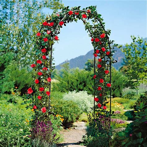 Métal Arc Rose Vert 240cm- Porte D'Arche | Grelly België