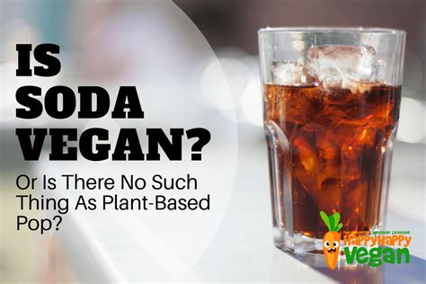 Is Soda Vegan? Or Is There No Such Thing As Plant-Based Pop?