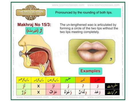 Articulation points-of-the-letters- makhraj | PPT