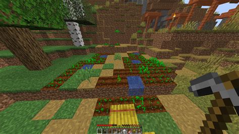 Why did my village farm generate like this? : Minecraft