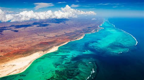 Ningaloo Reef | Unplug Rentals | Ningaloo Reef, Western Australia