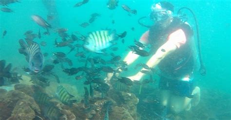 Tarkarli scuba diving: Explore the underwater paradise of Tarkarli beach