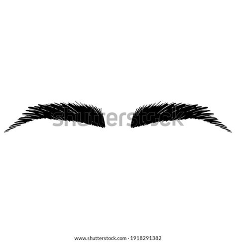 Eyebrow Perfectly Shaped Vector Eyebrows Business Stock Vector (Royalty ...