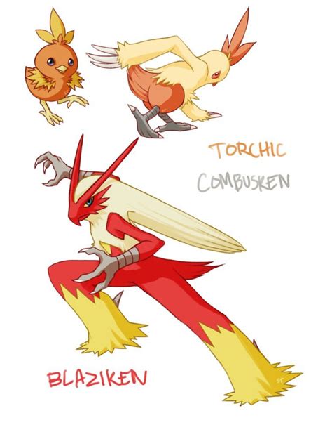 Torchic Combusken Blaziken by Aphose on DeviantArt Mudkip, Lugia, Umbreon, Mewtwo, Charizard ...