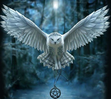 Harry Potter Owl Wallpapers - Top Free Harry Potter Owl Backgrounds - WallpaperAccess