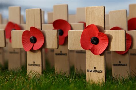 Remembrance Day Free Stock Photo - Public Domain Pictures