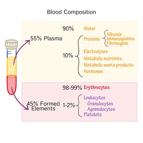 Physiology Glossary: Blood Composition | Draw It to Know It