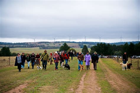 It's truffle hunting season! | OutInCanberra