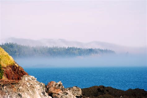 Field Notes and Photos: West Quoddy Head State Park. Lubec, Maine