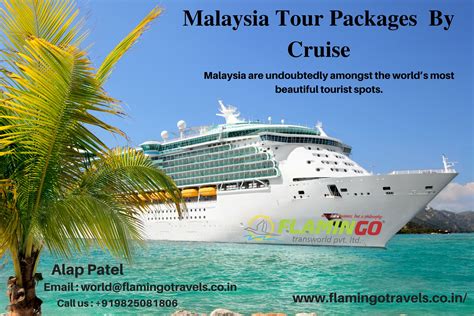 Enjoy #Malaysia #Tour #Packages By Cruise | Malaysia tour, Happy ...