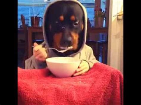 Human Dog Eating! - YouTube