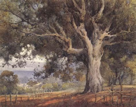 Oak Tree, unknow artist Watercolor Trees, Watercolor Landscape, Watercolor Paintings ...