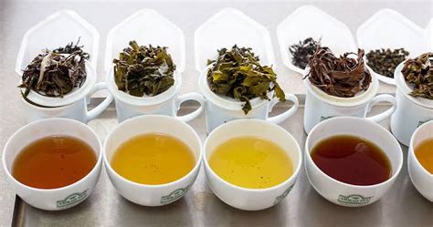 Types of oolong Tea in Nigeria - Nigerian Tech