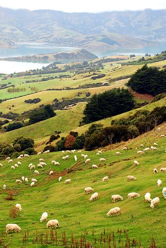 Akaroa Harbour | Banks Peninsula New Zealand | Geof Wilson | Flickr